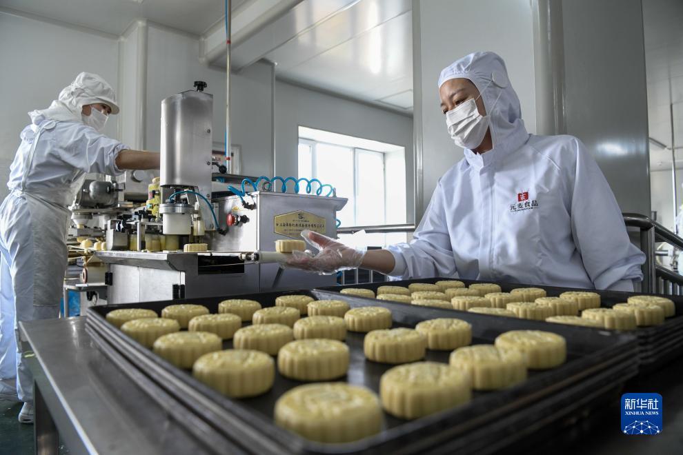 捕鱼金蟾去哪了电脑版下载